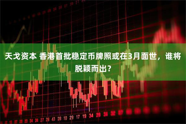 天戈资本 香港首批稳定币牌照或在3月面世，谁将脱颖而出？