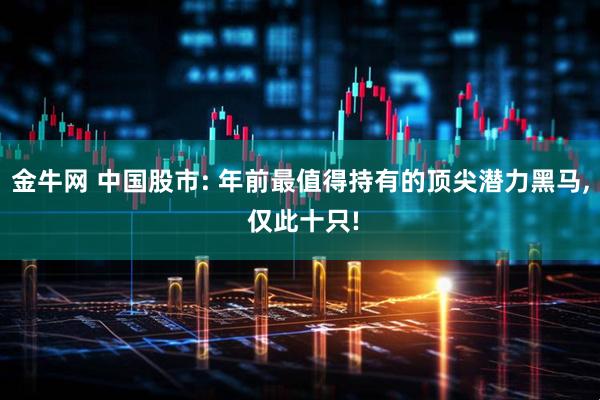金牛网 中国股市: 年前最值得持有的顶尖潜力黑马, 仅此十只!